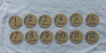 Mijlpaal cirkels ( 12 stuks)