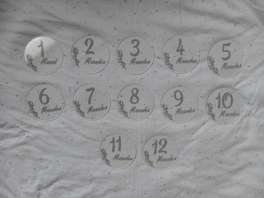 Mijlpaal cirkels ( 12 stuks)